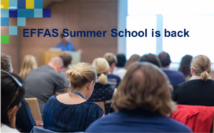 EFFAS Summer School 2023. Lisboa 6