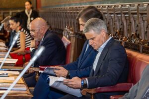 PATRONATO DE LA FUNDACIÓN DEL INSTITUTO ESPAÑOL DE ANALISTAS, PRIMER SEMESTRE 13