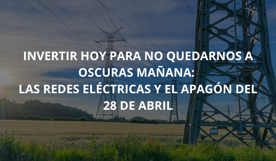 Invertir hoy para no quedarnos a oscuras mañana: las redes eléctricas y el apagón del 28 de abril. Javier Santacruz 1